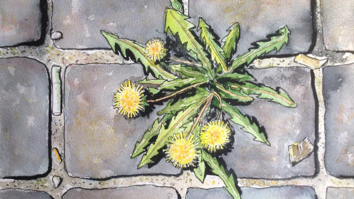 Workshop, Fånga stan: Urban Sketchers på Spårvägsmuseet